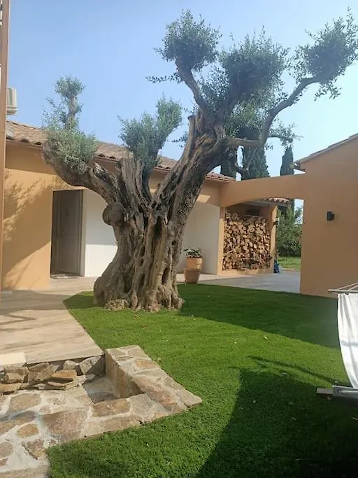 Jolie Villa Avec Vue Mer 봄레미모사